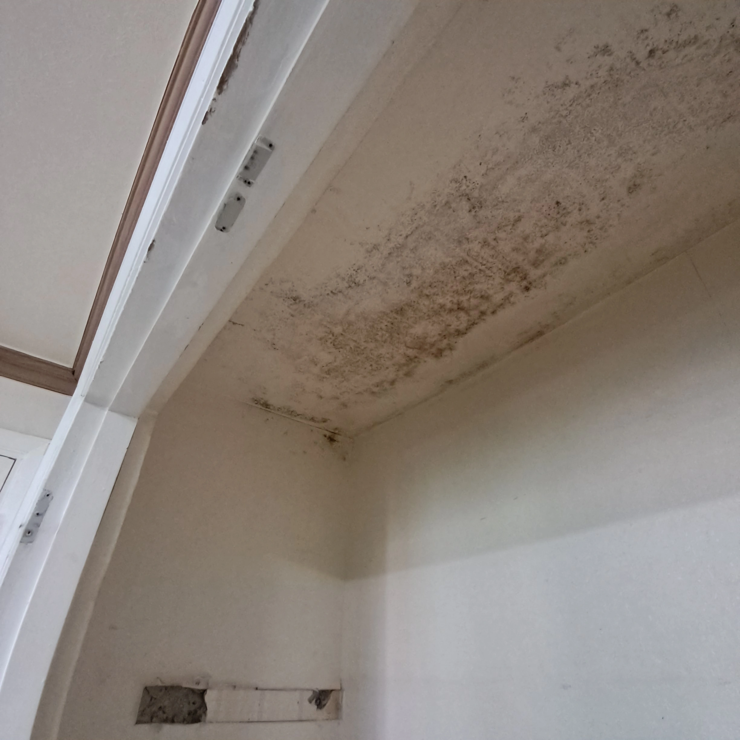 벽장 내부 선반 교체 인천 연수구 시공 후